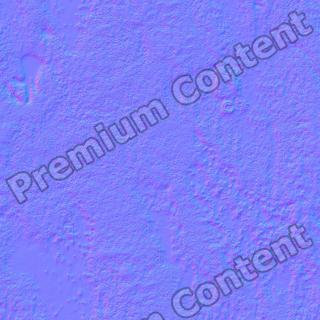 Seamless Textures of Metal + Normal & Bump Mapping